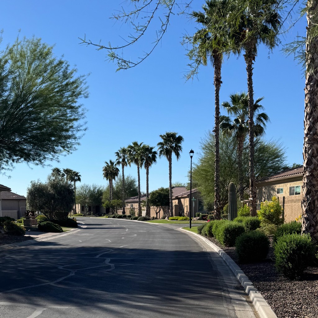 street in the pebble creek community with palm trees and blue skies